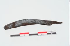 Foto von Eisengriffangelmesser (NHMW-PRAE-024884)